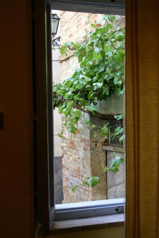 오피다 La Neviera Nel Pozzo B&B 객실 사진